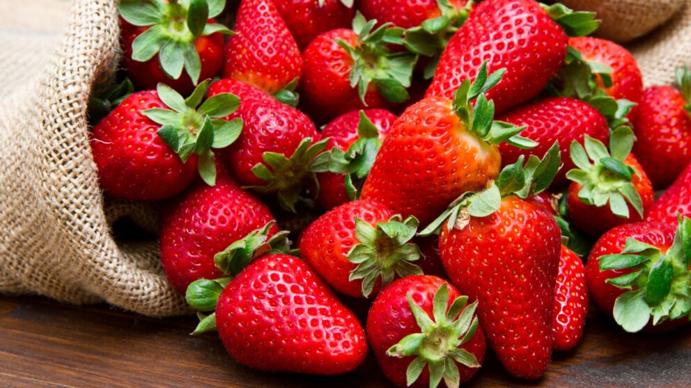 Erdbeeren