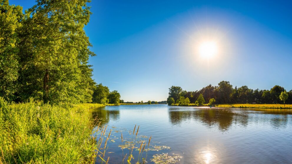 Flusspatenschaft