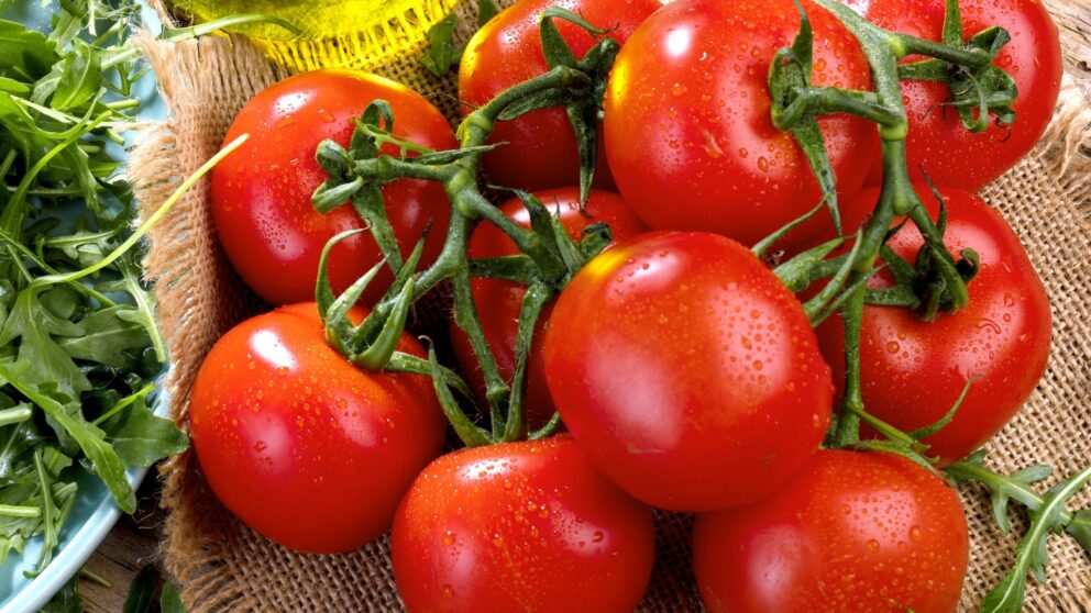 Tomaten