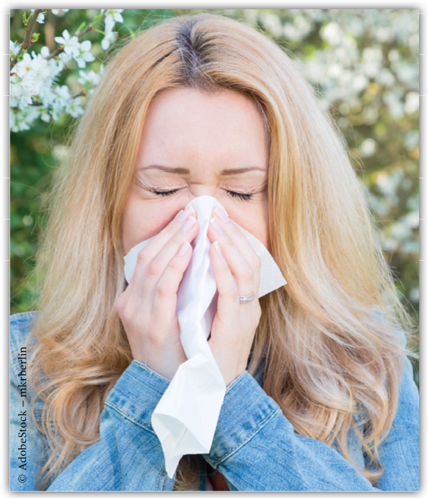 Allergien