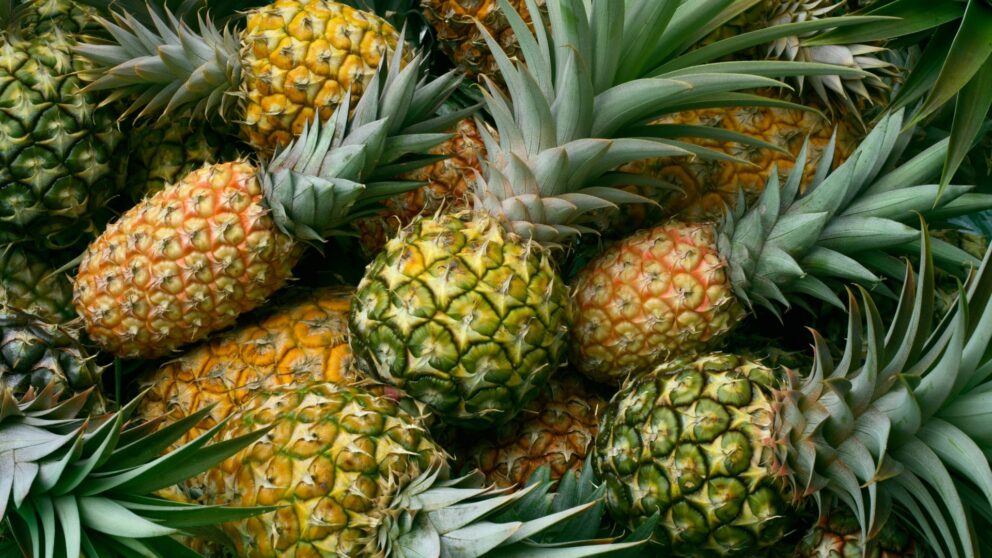 Ananas