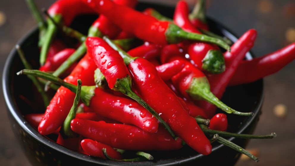 Chilli