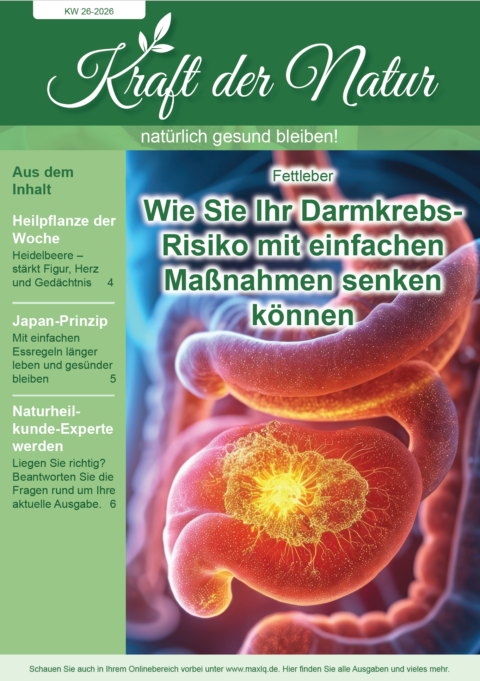 NAT Cover 26/2026