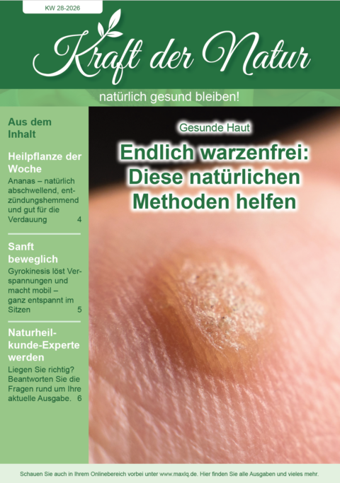 Cover NAT 28.26