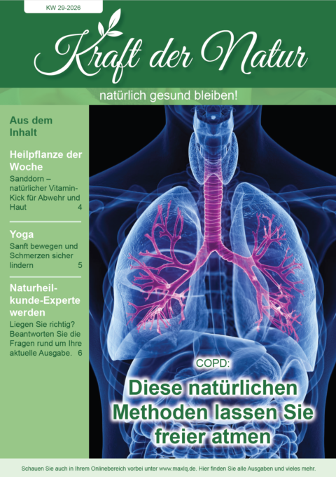 Cover NAT 29.26