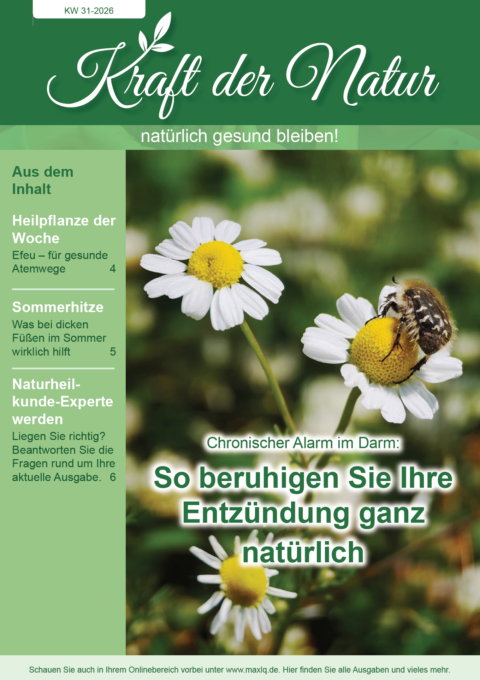 Cover NAT 31.2026