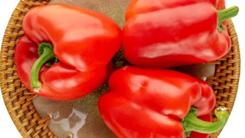Grillpaprika mit Wildreis-Füllung