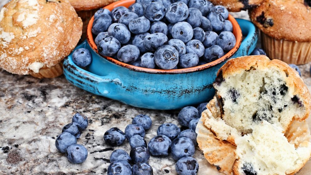 Heidelbeeren