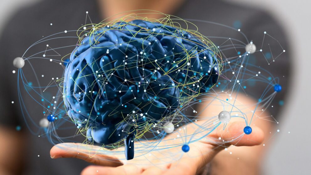Werden Sie fit im Kopf: So schulen Sie die Säulen Ihrer Intelligenz
