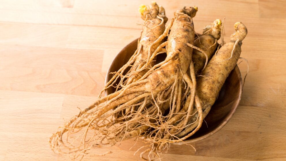 Roter Ginseng