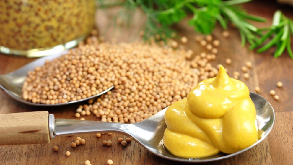 Winterzeit? Erkältungszeit! So hilft Senf bei Husten und entzündeten Gelenken