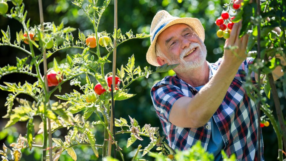 Gartenarbeit im Sommer