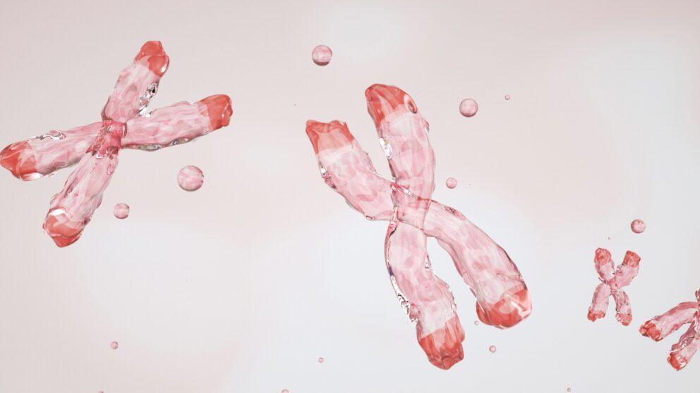 Telomere