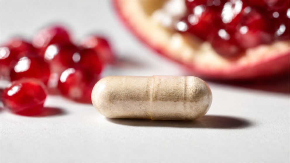 Urolithin A verjüngt Ihr Immunsystem und stoppt Muskel- und Kraftverluste