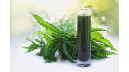 Drei heimische Pflanzensäfte für Ihre Gesundheit